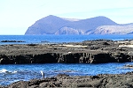 Galapagos Kurzreise