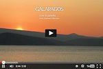 Galapagos Kreuzfahrt Videos